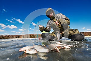 Winter fishing on ice. Roach fish catch in fisherman or angler hands