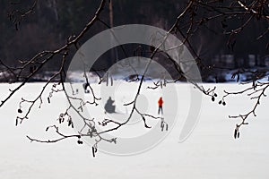 Winter fishing. River, lake near forest in ice. Blurred image of Anglers, Fishermens through tree branches, favorite men