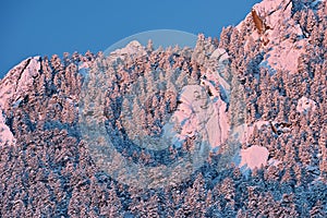 Winter, Flatirons Flocked with Snow at Sunrise