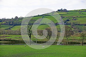 Winter flooding in Keighley farmland.