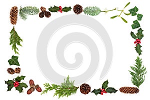 Winter Flora Background Border