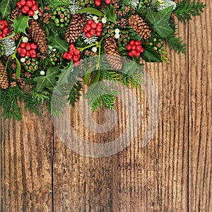 Winter Flora on Rustic Wood