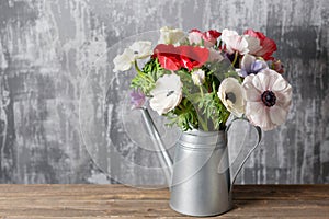 Winter flowers. Anemones in a vase watering can standing on a wooden table. On the background old gray wall art. copy