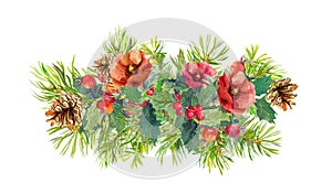 Winter flowers, fir tree, christmas mistletoe. Watercolor