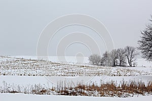 Winter Fog Farmland in Southwest Iowa