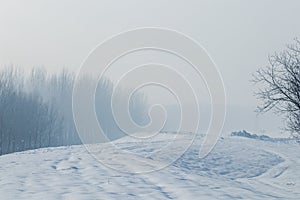 Winter foggy forest scene, Cold foggy forest with snow