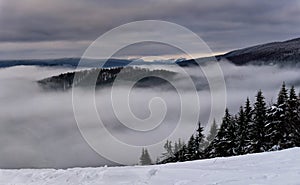 Winter foggy mountain landscape. Fairytale afternoon with misty