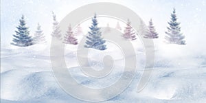 Winter forest against the background of snowdrifts. Christmas background. photo
