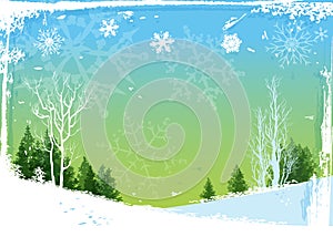 Winter forest background