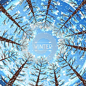 Winter forest background with stylized trees.