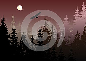 Winter forest with bald eagle in flight, light blue fog background, vector mountain landscape. Christmas tree firs with full moon