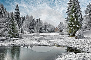 Winter forest in the Carpathians on the mountain lake Vita.