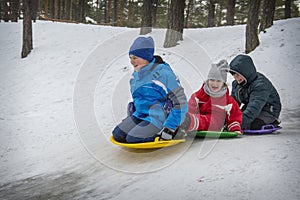 In winter, in the forest, children slide down the hill on plastic plates