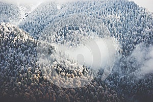 Winter Forest clouds Landscape aerial view