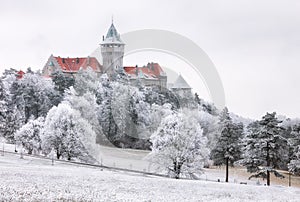 Winter Forest clouds Landscape with Smolenice castle, Slovakia