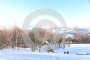The winter forest is covered with fresh snow. The mountains and hills are completely white. Snow is falling, the sky is gray,