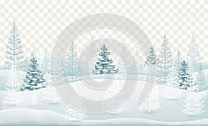 Winter forest covered with snow with coniferous trees isolated. Vector