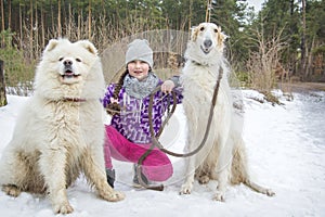 In the winter forest, during the day, a girl hugs a Russian greyhound and a Samoyed and plays with them