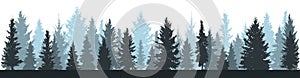 Winter forest fir trees, spruce silhouette on white background