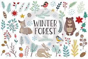 Winter forest floral and animals design elements