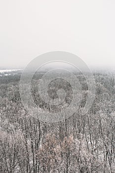 Winter forest in fog or myst, aerial view. White nature landscape, frost and tranquility photo