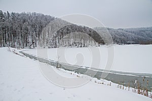 Winter in forest frozen lake