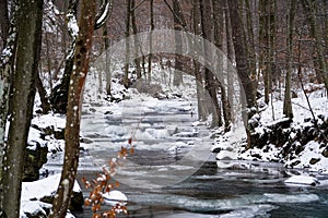 Winter forest, frozen river, winter landscape, ice on the water