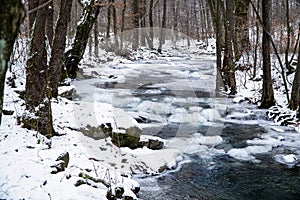 Winter forest, frozen river, winter landscape, ice on the water