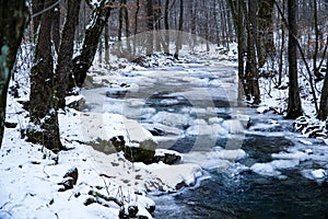 Winter forest, frozen river, winter landscape, ice on the water