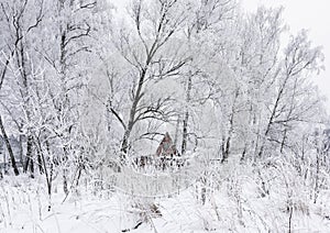 Winter forest hoarfrost old house