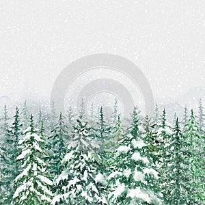 Winter forest illustration on gray background. Hand painted spruce and pine trees illustration with falling snow