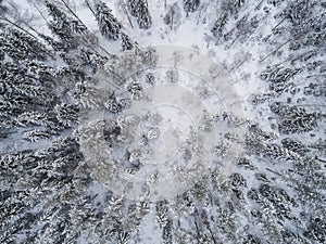 Winter forest landscape aerial view