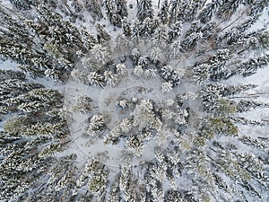 Winter forest landscape aerial view