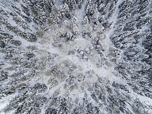 Winter forest landscape aerial view