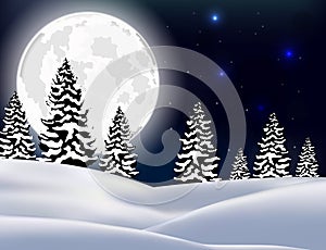 Winter Forest Landscape Christmas Background