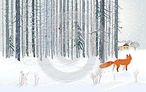 Winter forest landscape with hungry fox