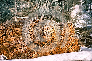 Winter forest landscape with log stacks