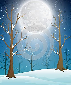 Winter forest landscape with moonlight and bare trees