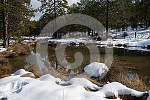 Winter forest landscape with mountain covered in snow and reflections on the lake