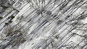 Winter forest landscape and sunset, snow winter trees, beautiful nature, aerial view