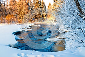 Winter forest landscape with tall fir trees, a flowing river, pure white snow, frozen branches along the shore.