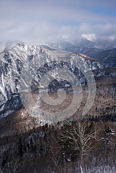 Winter forest landscape view from Mount Kurodake.