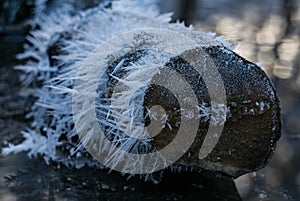 In winter, in the forest on a log, an unusual shape of snowflakes and ice floes