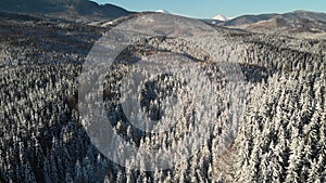 Winter forest in Mountain, Aerial Frozen snowy Landscape, Snowy season