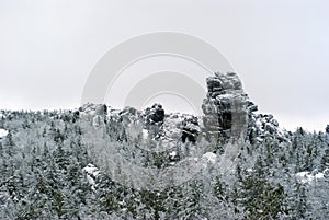 Winter forest on a mountain plateau