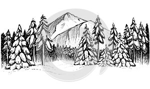 Winter forest in mountains hand drawn illustration.