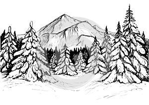 Winter forest in mountains, sketch. Vector hand drawn illustration