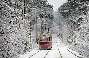 In the winter forest red tram rides through the snow-covered road.