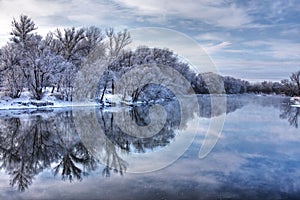 Winter forest river