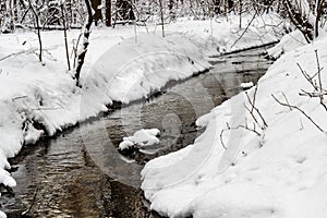 In the winter forest, the winter river runs.